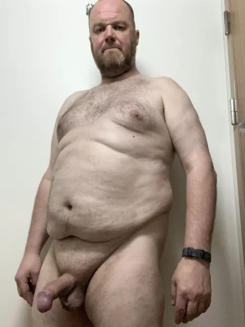 [42] Scottish bear