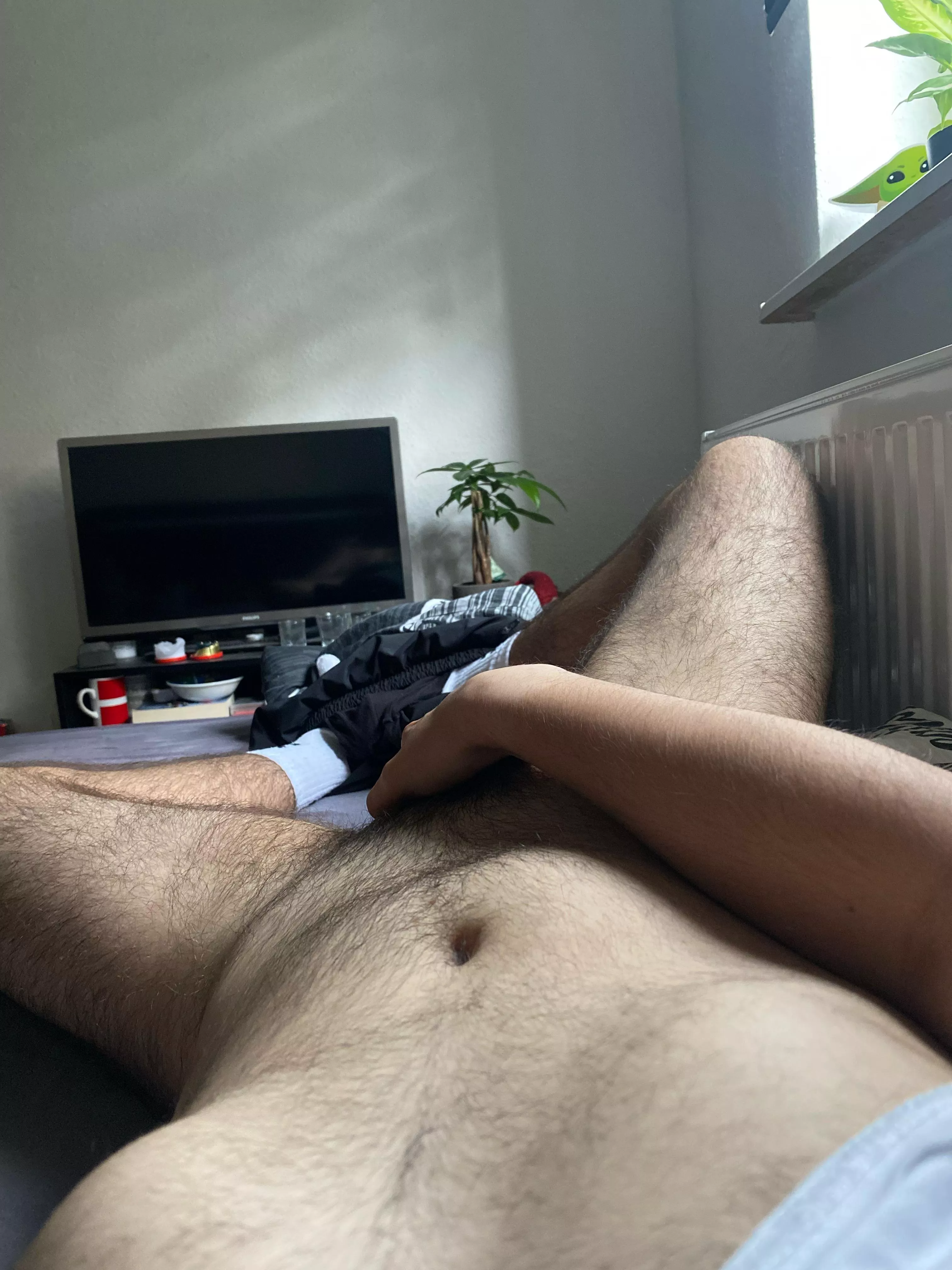 Any otters wanna be friends?