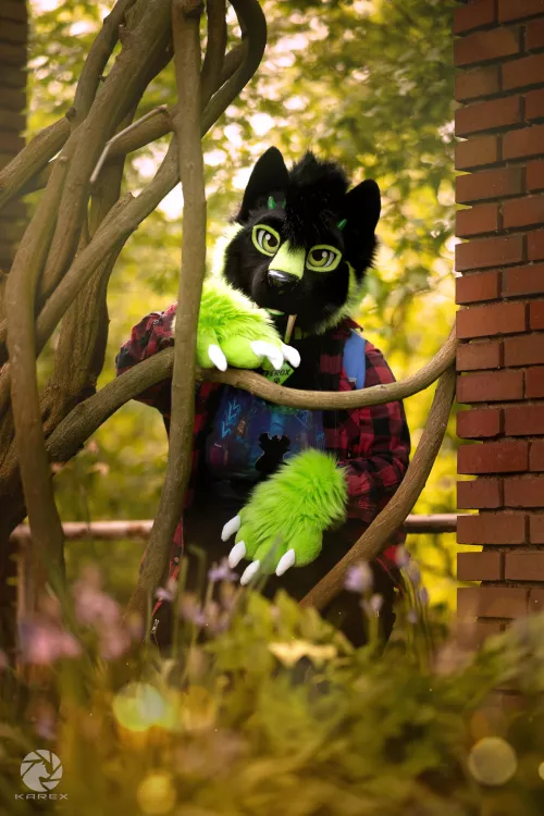 Best wishes from Ferox :3