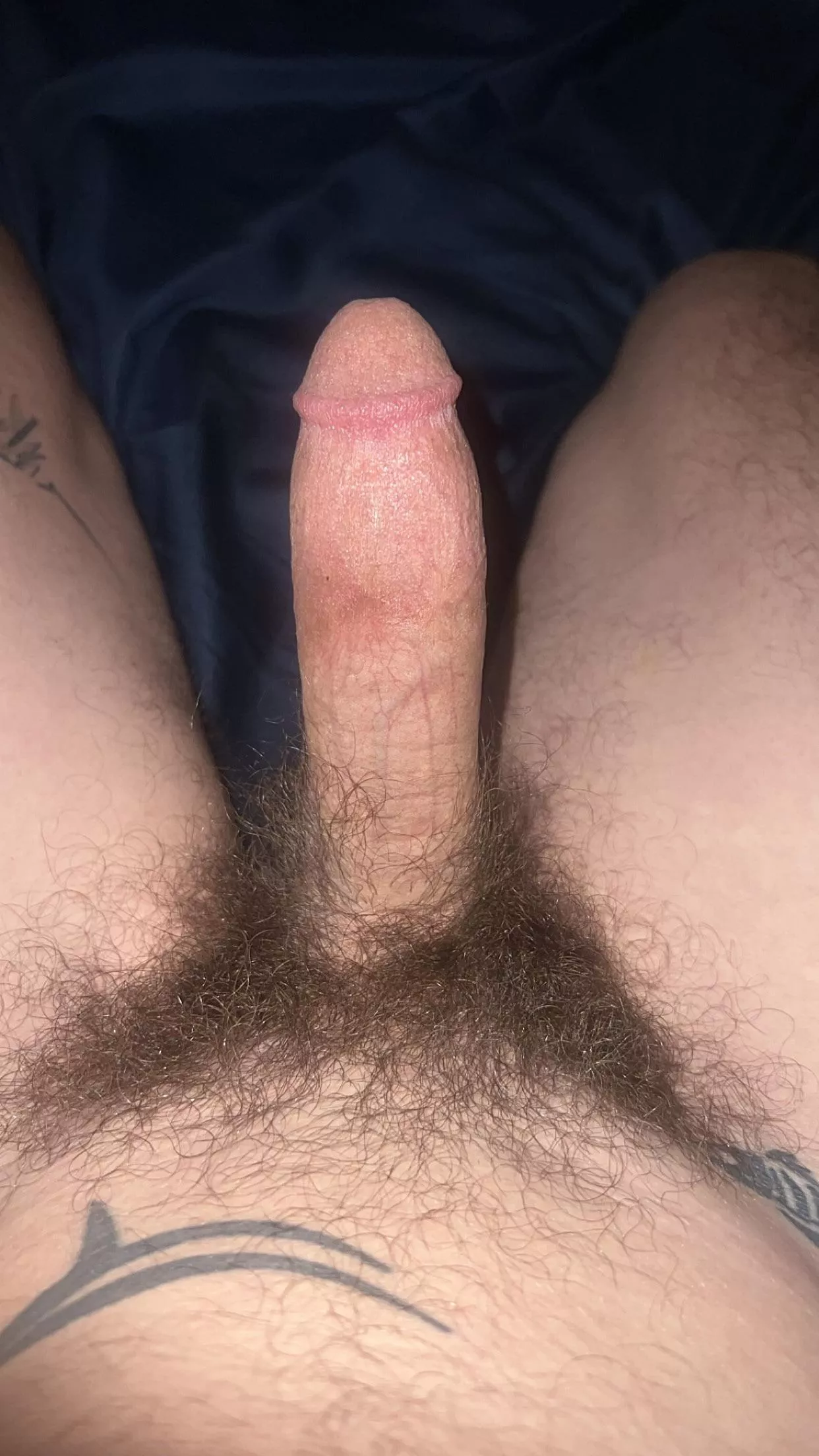 If I rub it, will it let me go back to bed? 😴😈