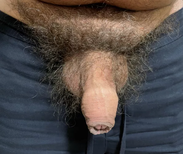 ITALIAN HAIRY COCK AND BALLS, NOTE THAT MY COCK IS A GROWER TYPE, SO…