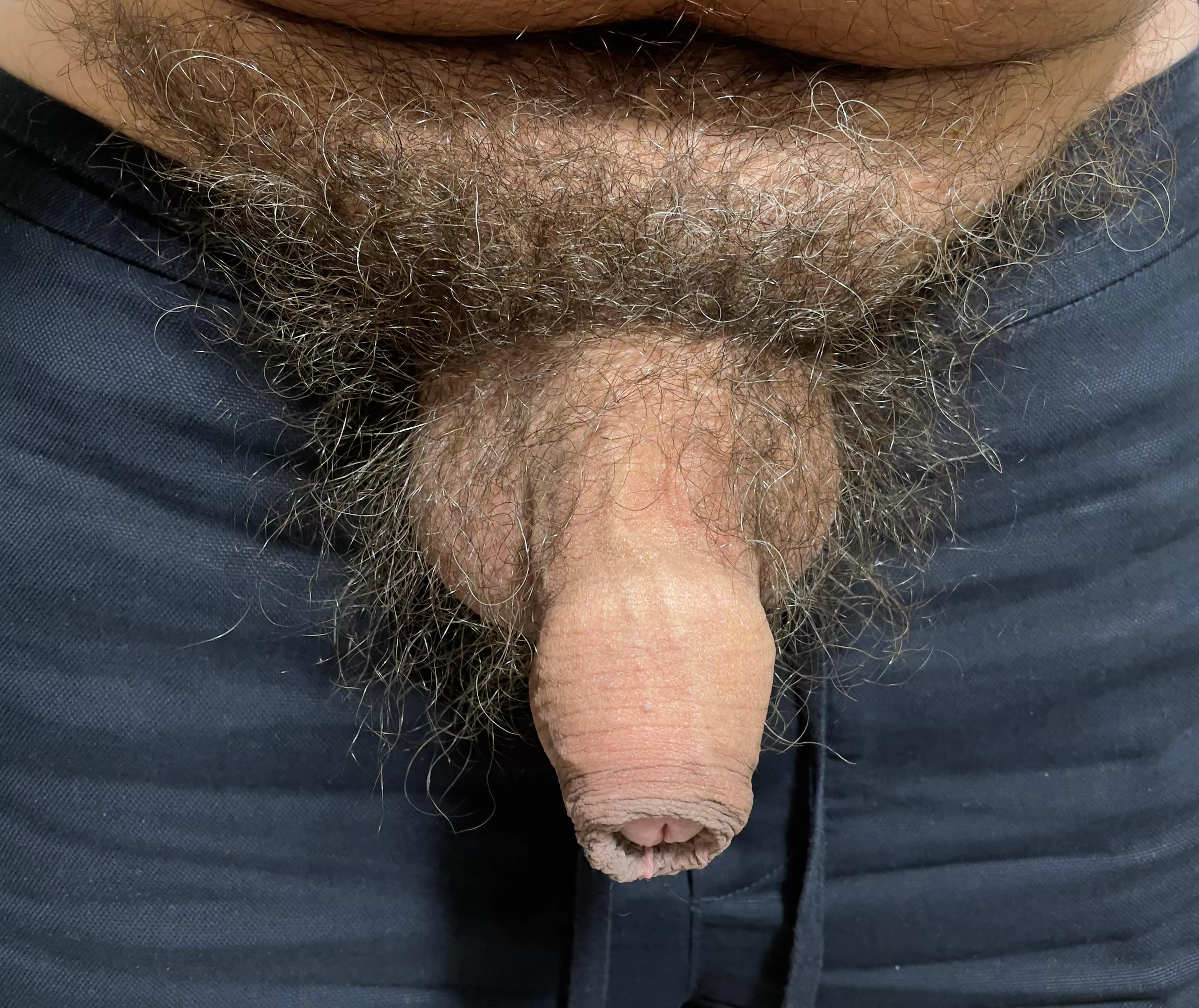 ITALIAN HAIRY COCK AND BALLS, NOTE THAT MY COCK IS A GROWER TYPE, SO…