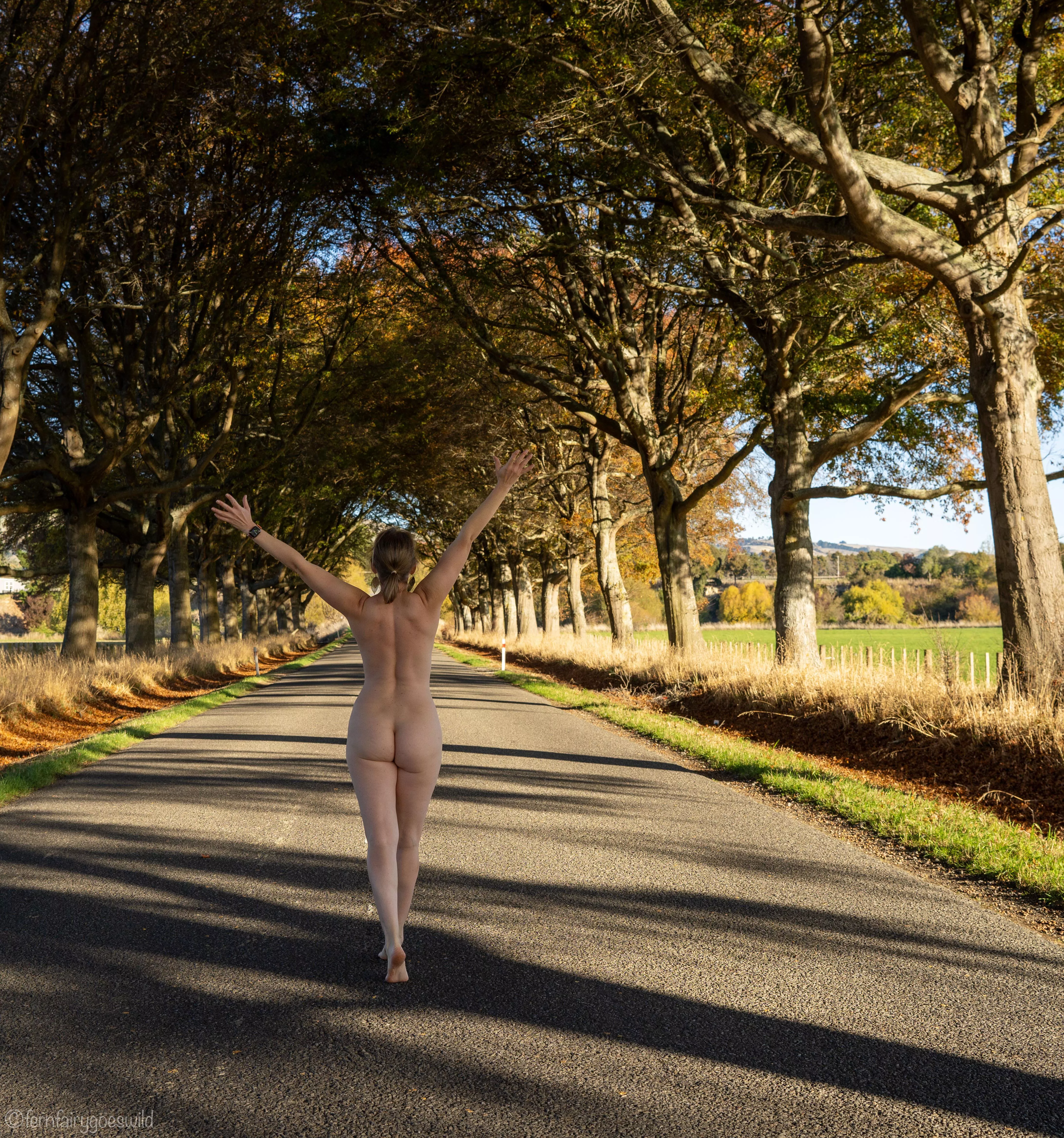 Nude on an avenue is extra adventurous