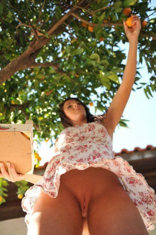 Ripe for the picking