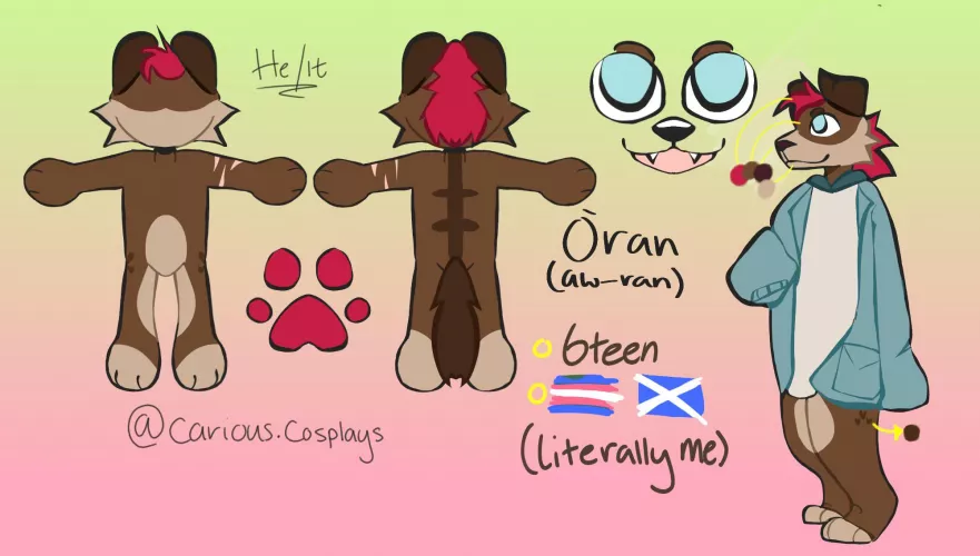 Trying to work out costs, How much would it be for a head and some pawz for him?