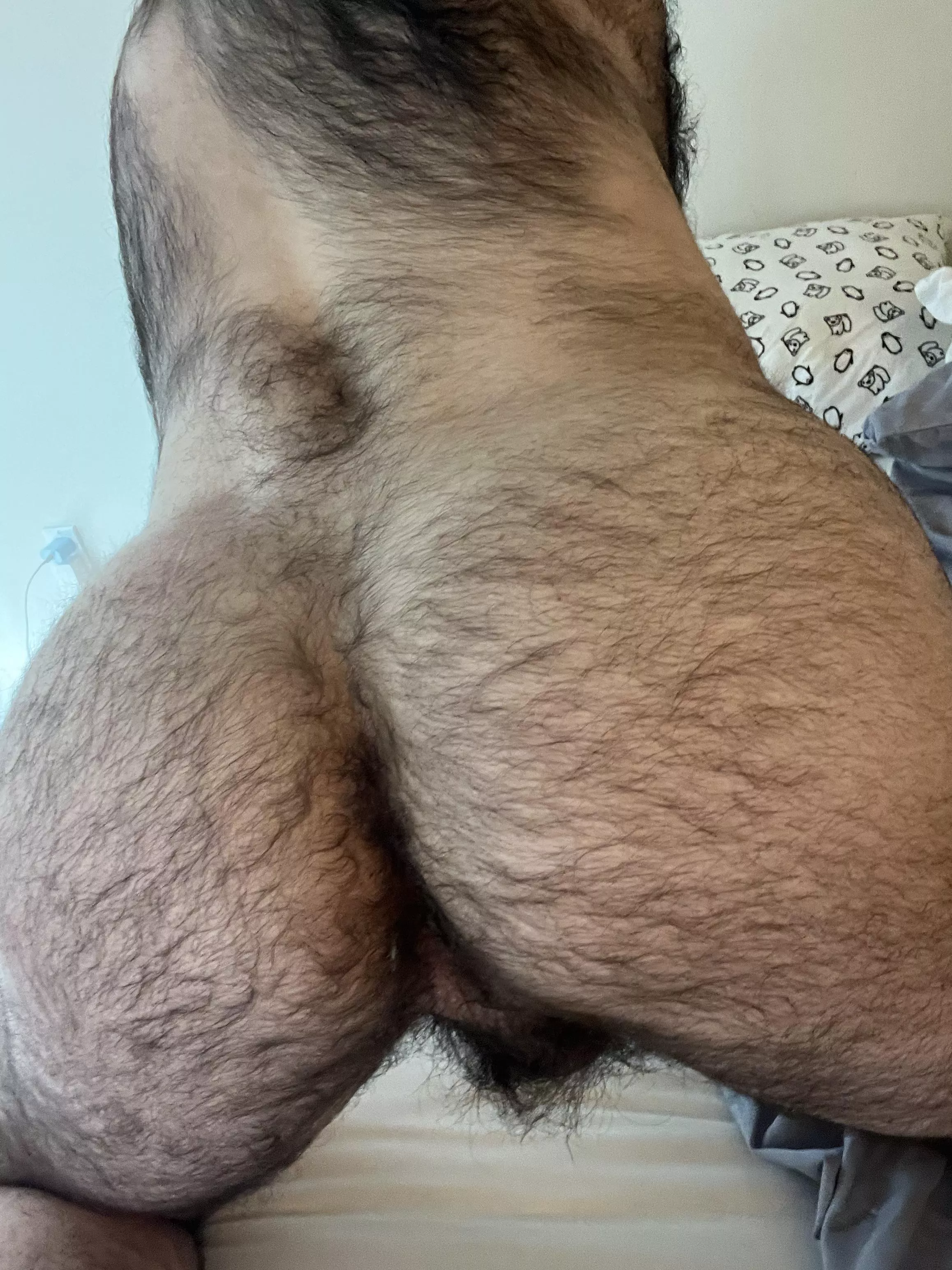 Any takers to spank and breed my hairy man ass?