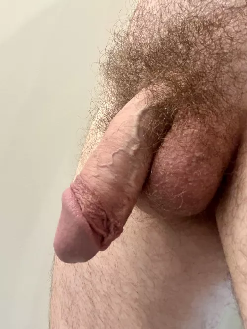 Clean and ready [50]