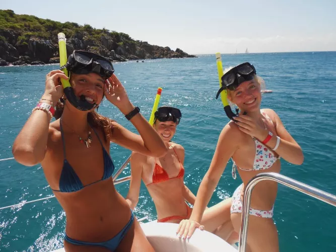 Dive In 🤿🐠🪸🐡