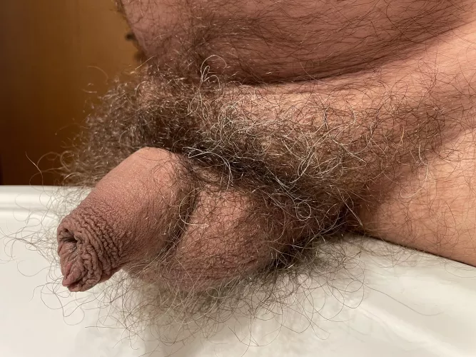HAIRY MAN HERE