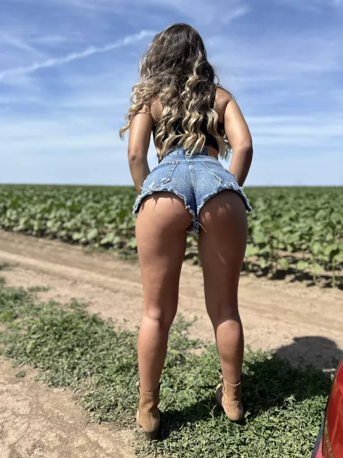 Just a snack or a whole meal?