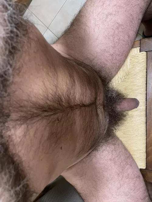 TRUE MEN ARE HAIRIES 