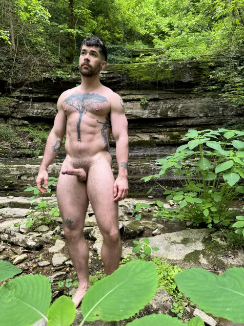 What would you do if you caught me naked in the woods? 
