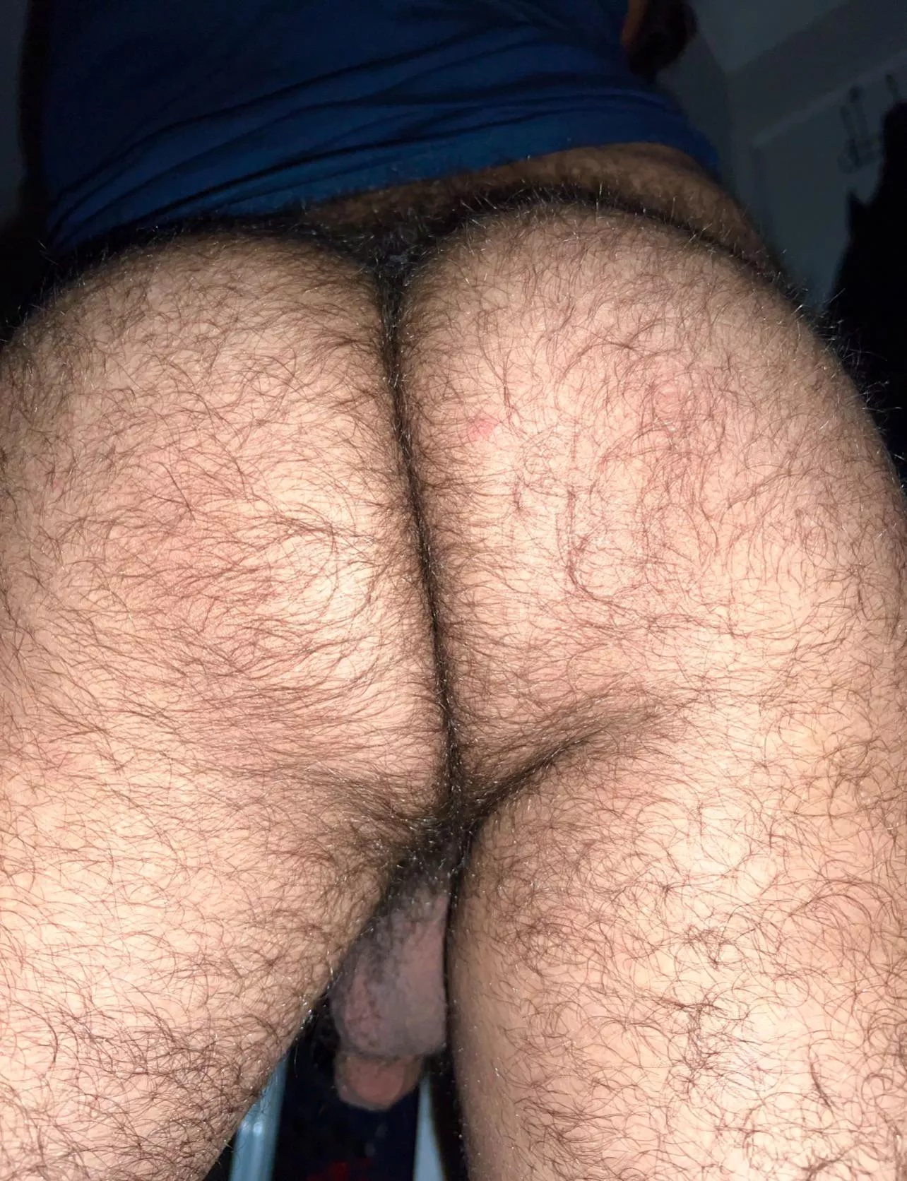 what would you do to my hairy ass?