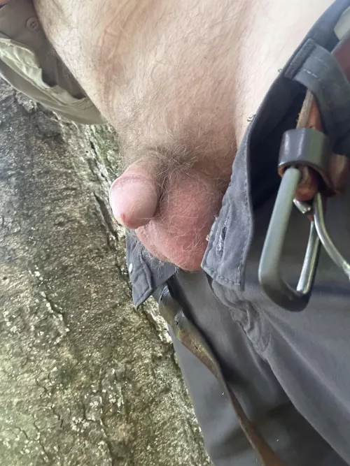 What you don’t see is the 4 lane highway on the other side of that tree