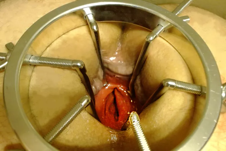 Would you rather see it or feel it?