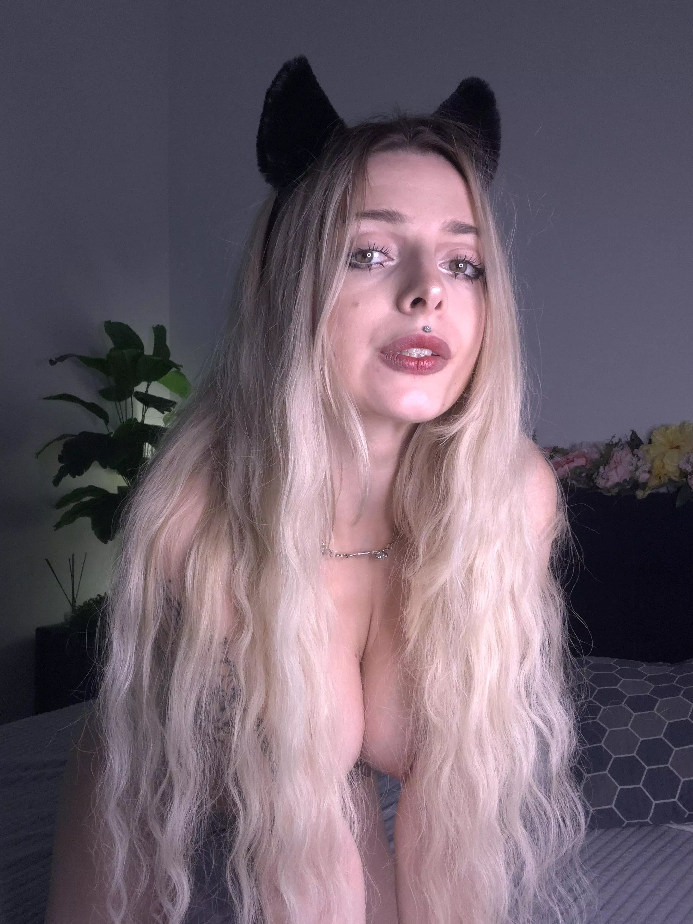 Anybody lookin for a kitty gf?