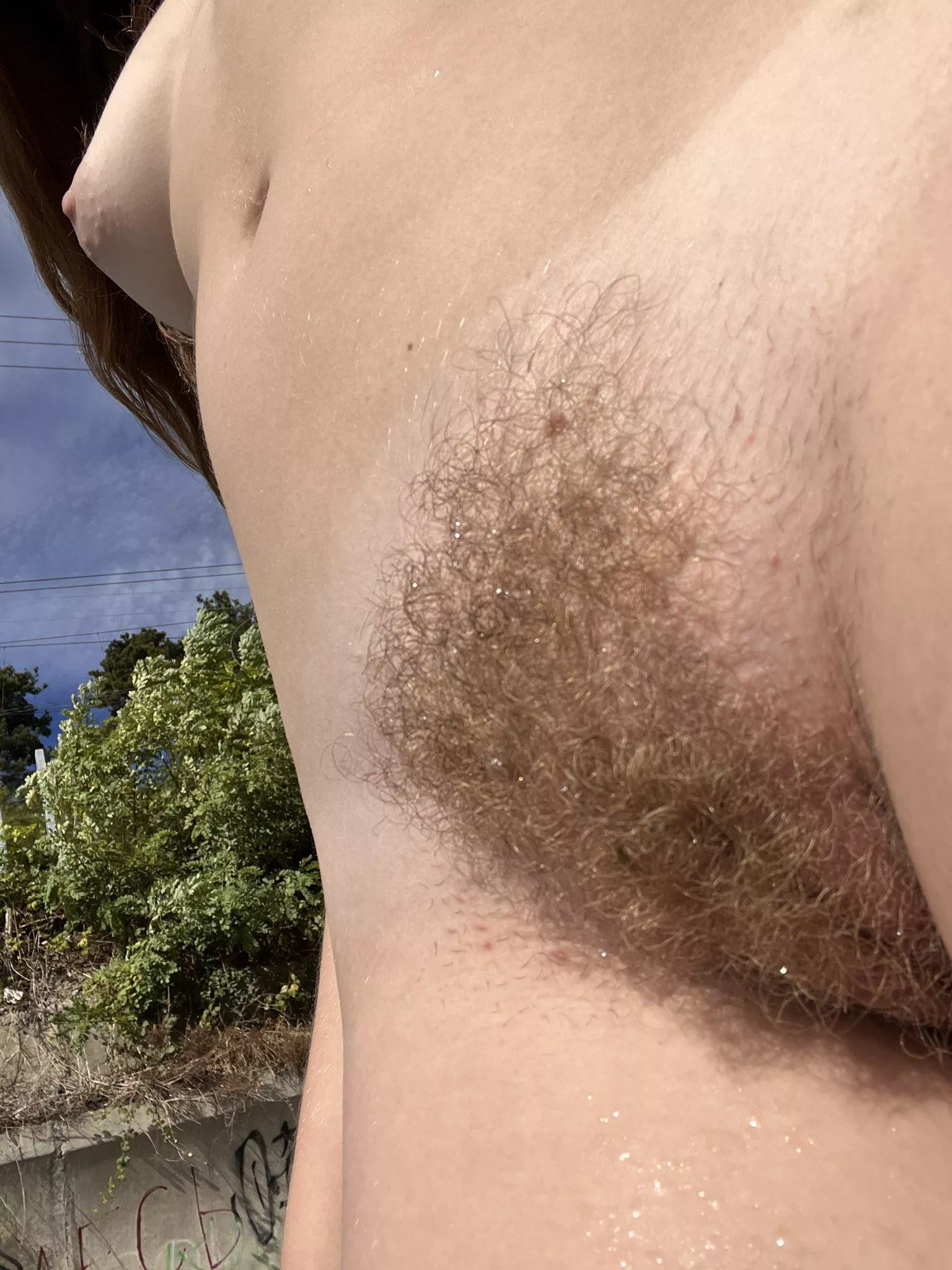 Is a real bush red or green?  