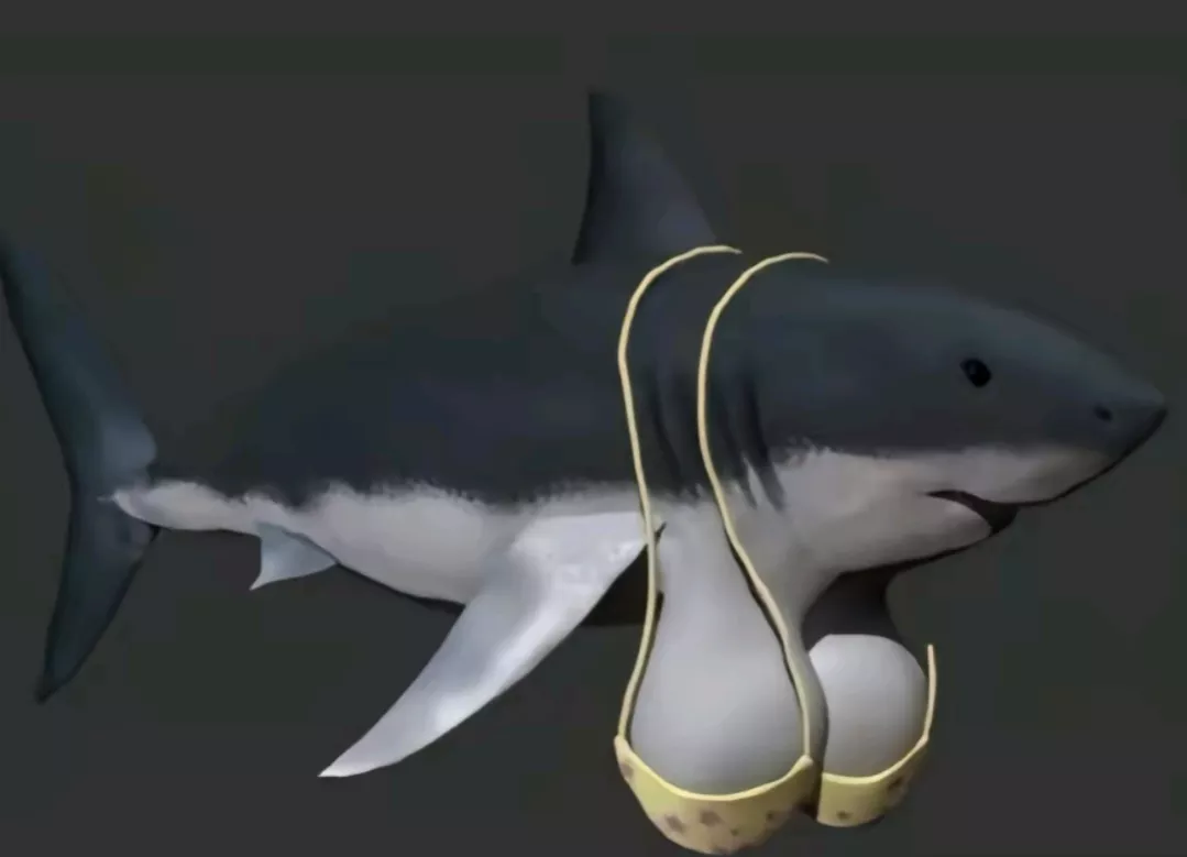 Shark tits 👍