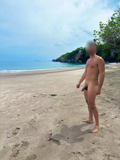 The best feeling in the world🏖️🌳☀️🐳