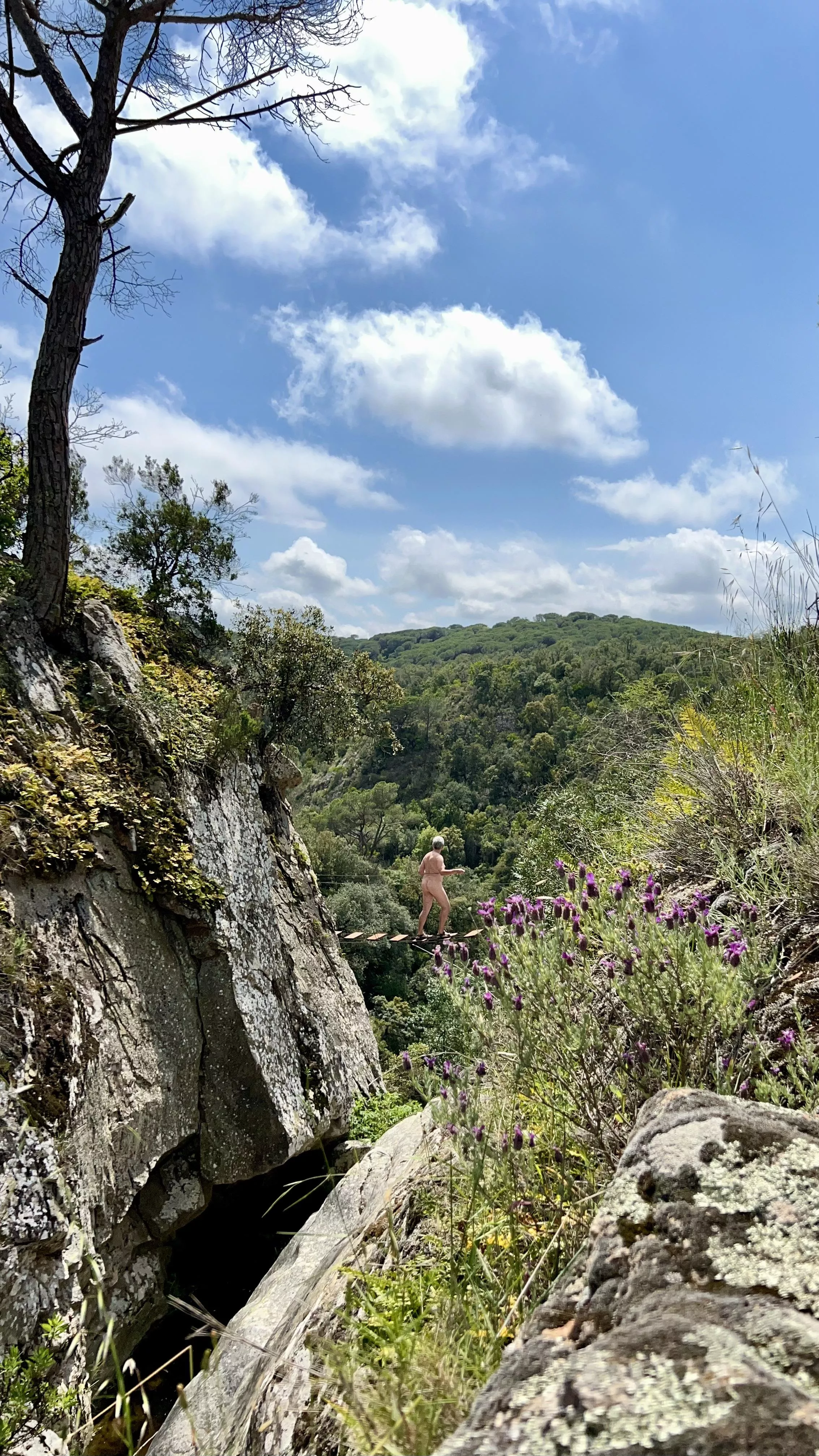 The bridge over the canyon…