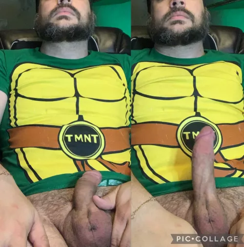 Trying to make Turtles Tuesday a thing. This one takes a minute to come out of its shell