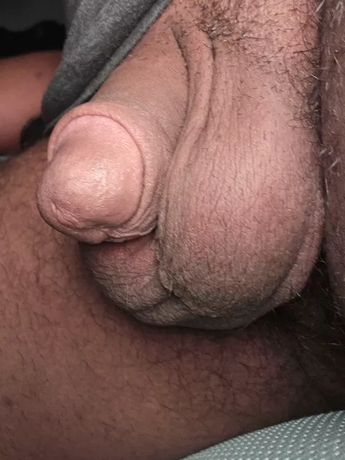 What do we think about cirumcised cubs?