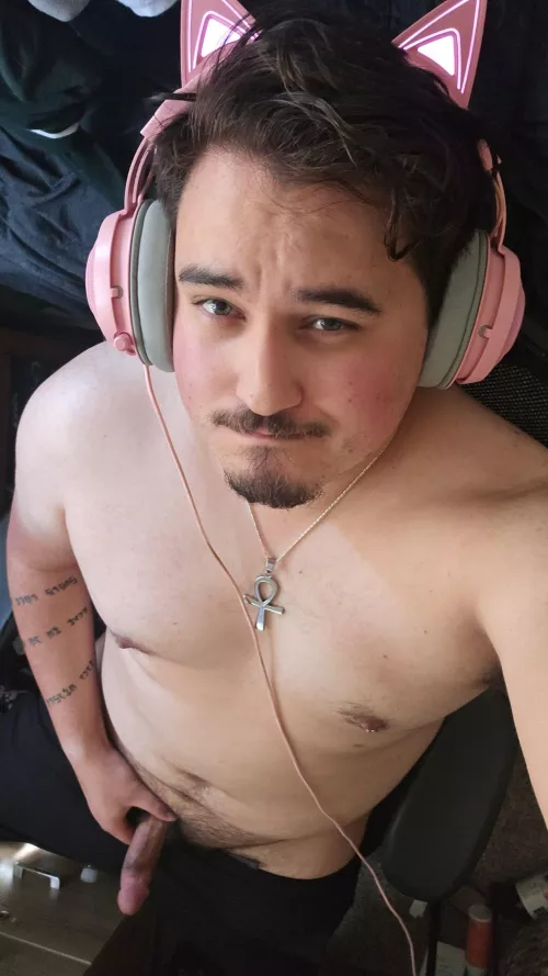 Who wants a gamer cub to play with?