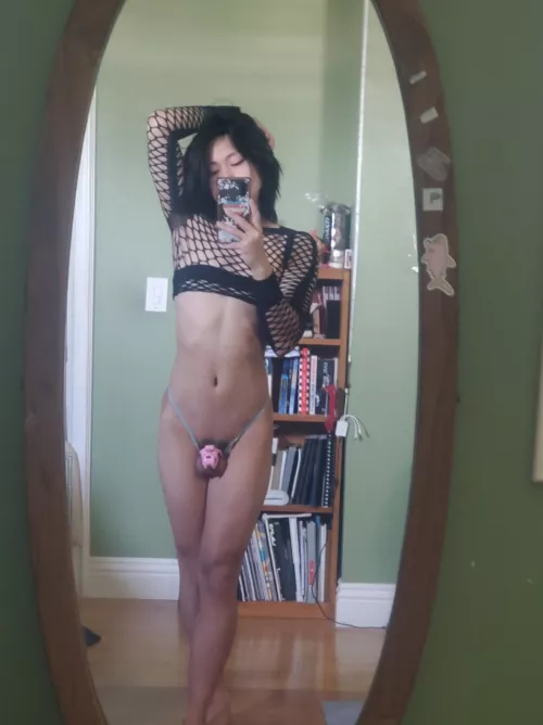 who's trynna breed me? 