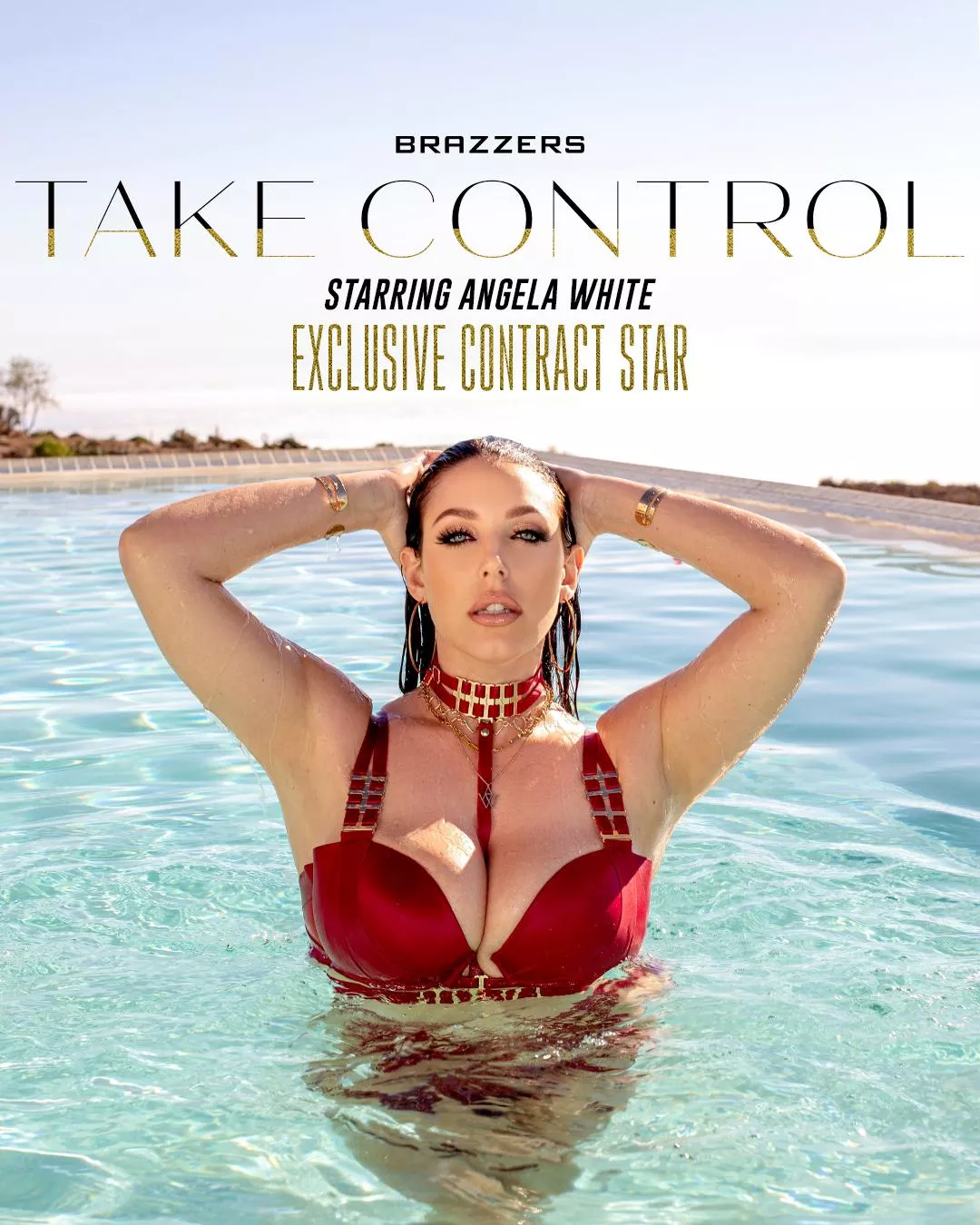 Angela White Take Control recieved 2 awards at 2023 avn awards, best solo tease and best gangbang.