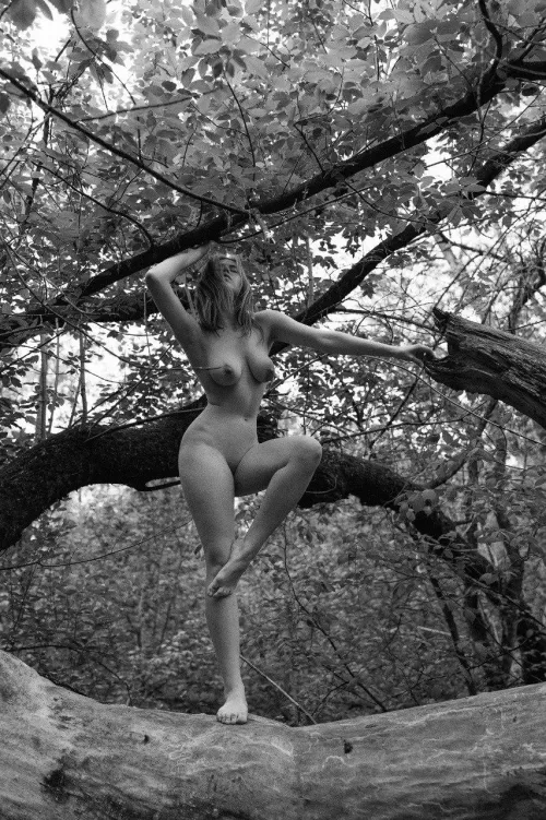 Azukisun by Serhii Kovbasyuk 