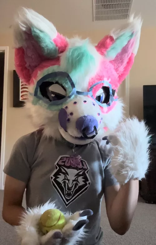 Hey, if you see a destroyed pet store over there…just ignore it.