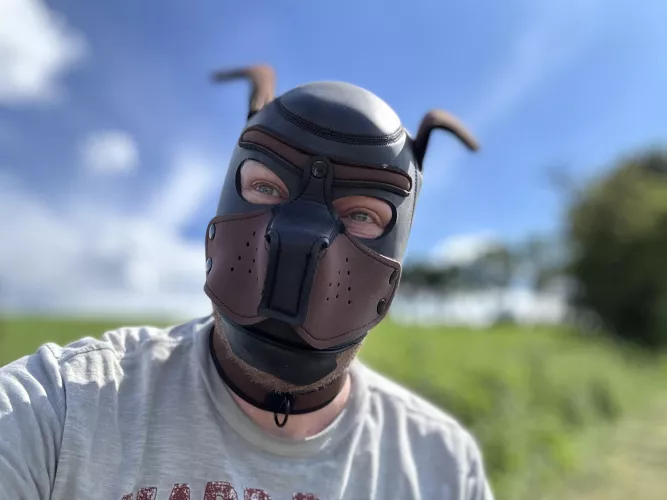 Sunny days are great for walks.