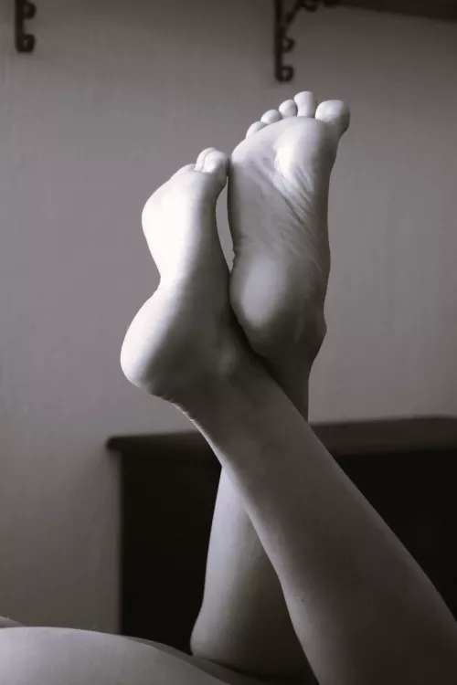 A little softness just for you 🤍