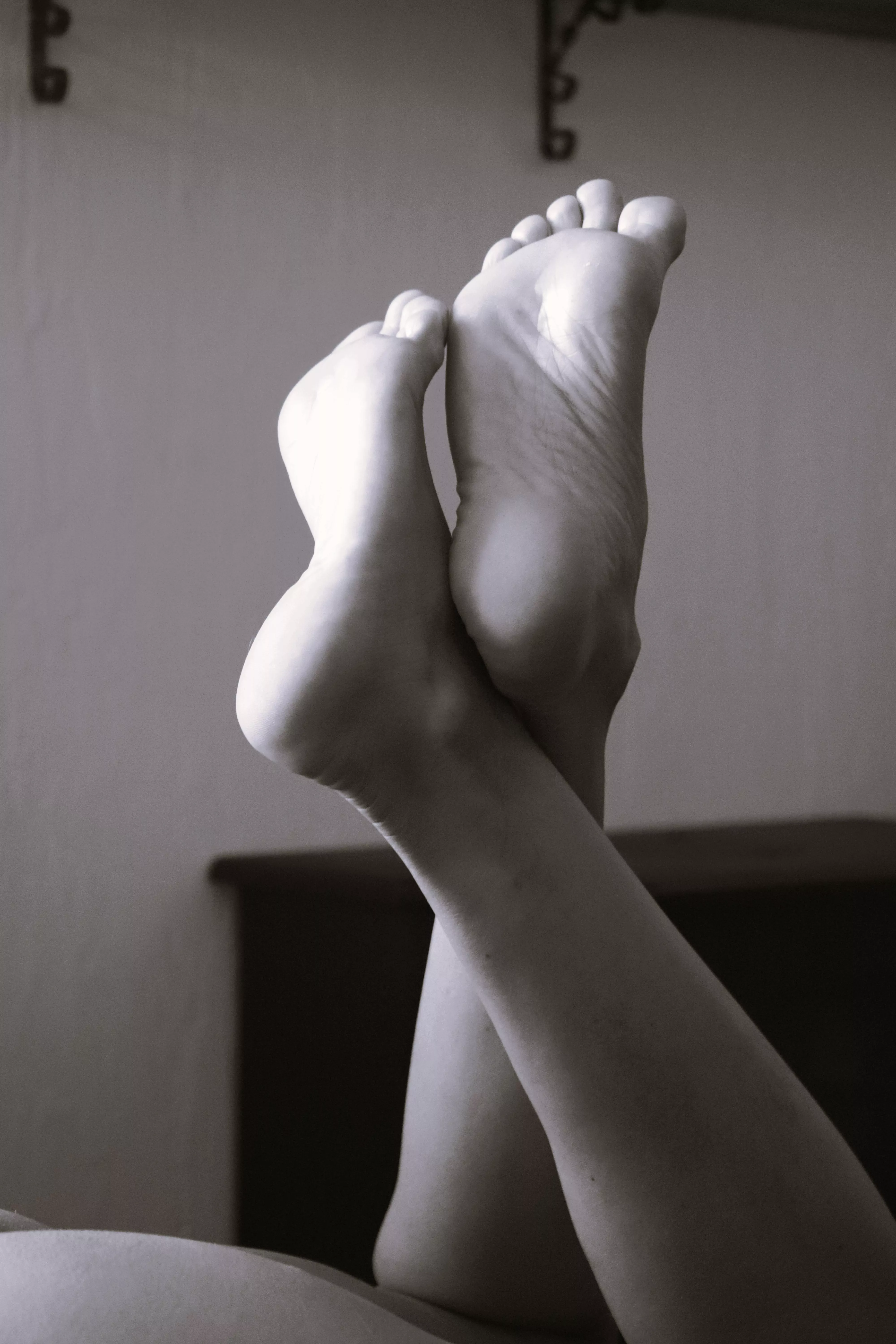 A little softness just for you 🤍