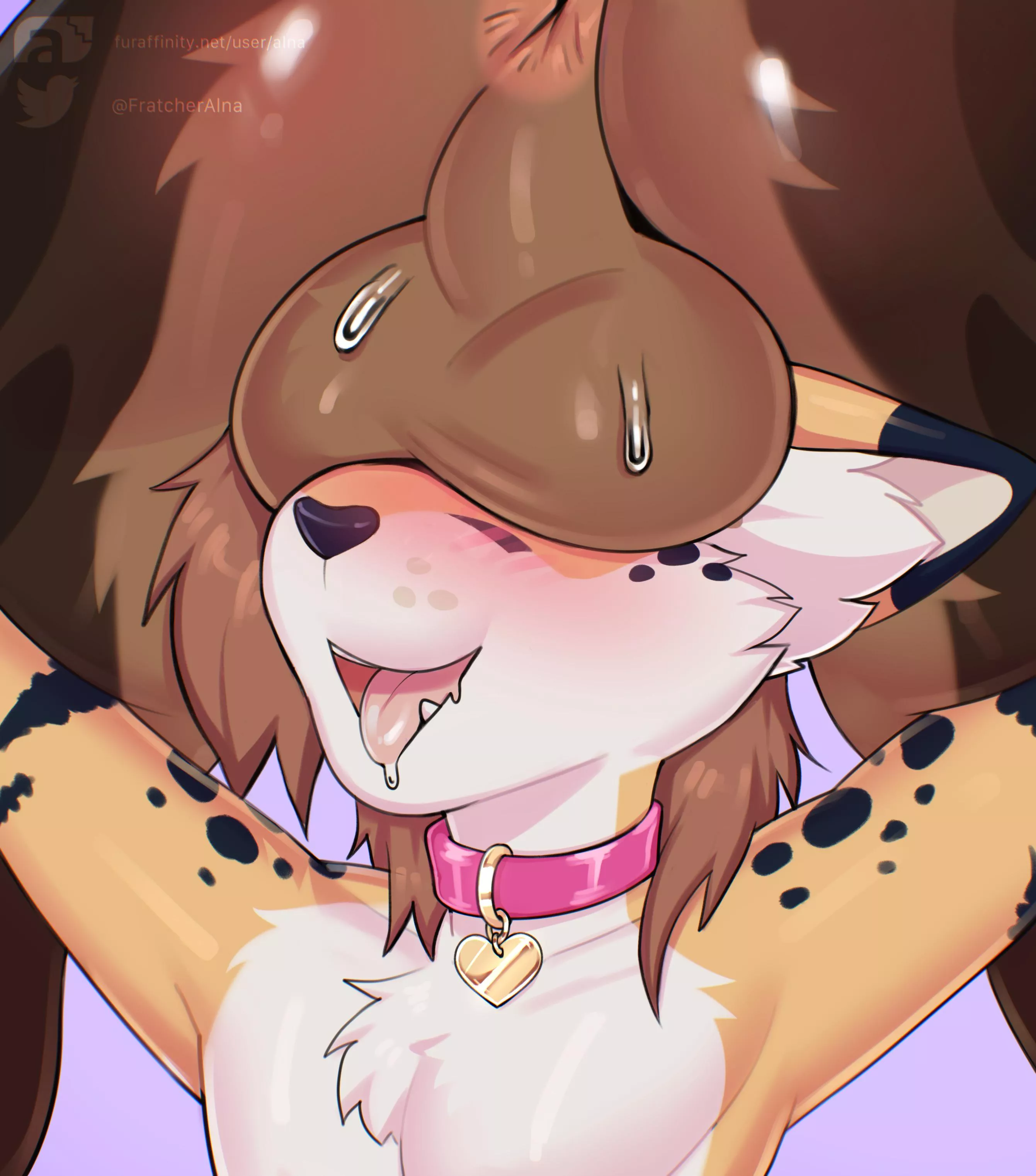 Balls sniffer (Alna)