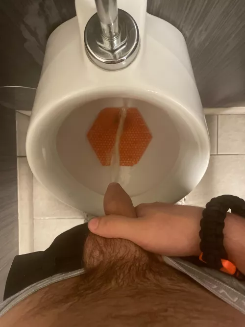 Blink urinal before workout