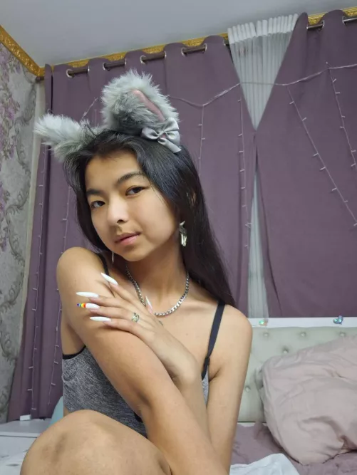 can I be your favorite cat?