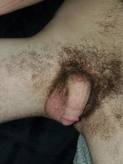 Floppy hairy soft dick (37)
