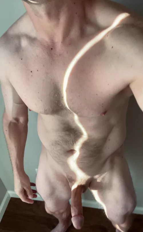 Follow the light [44]