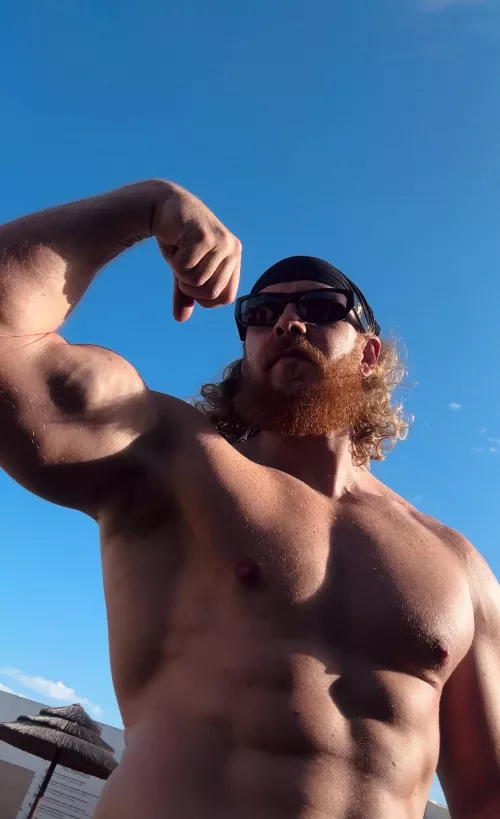 Get a whiff of these gorilla pits