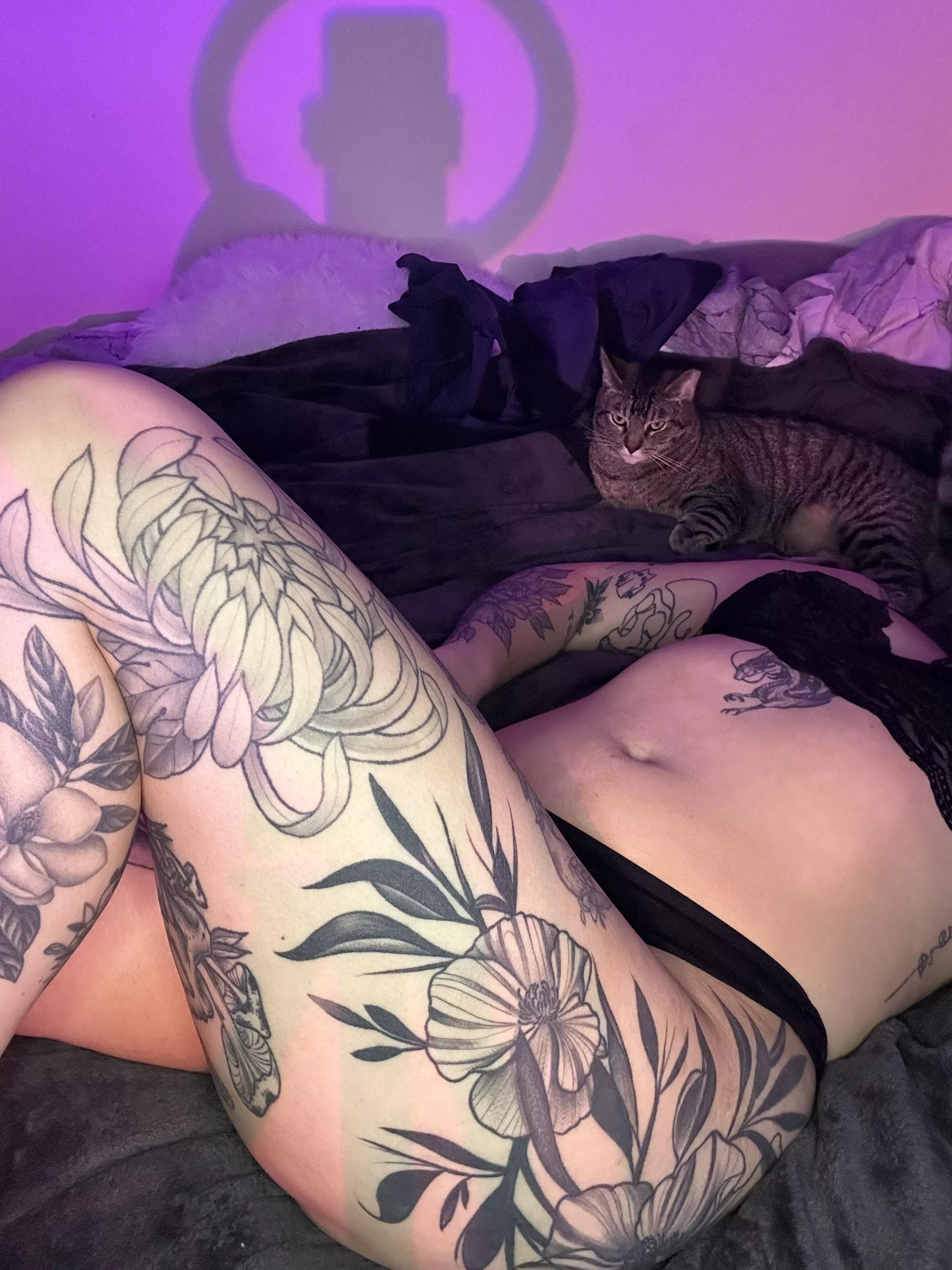 My cat has the grumpiest face