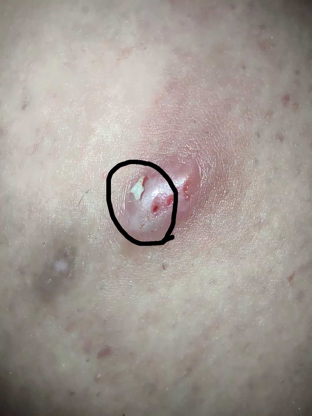 Sooooooo this came out...