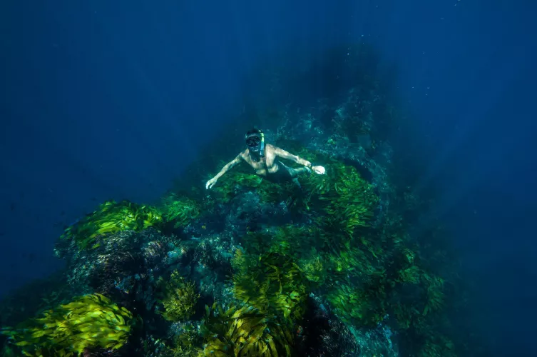 The water was just too clear to not jump in