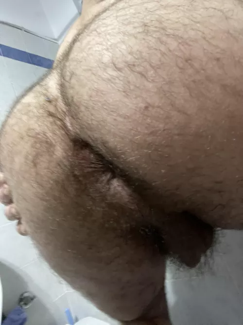 Would you fuck my hairy ass?
