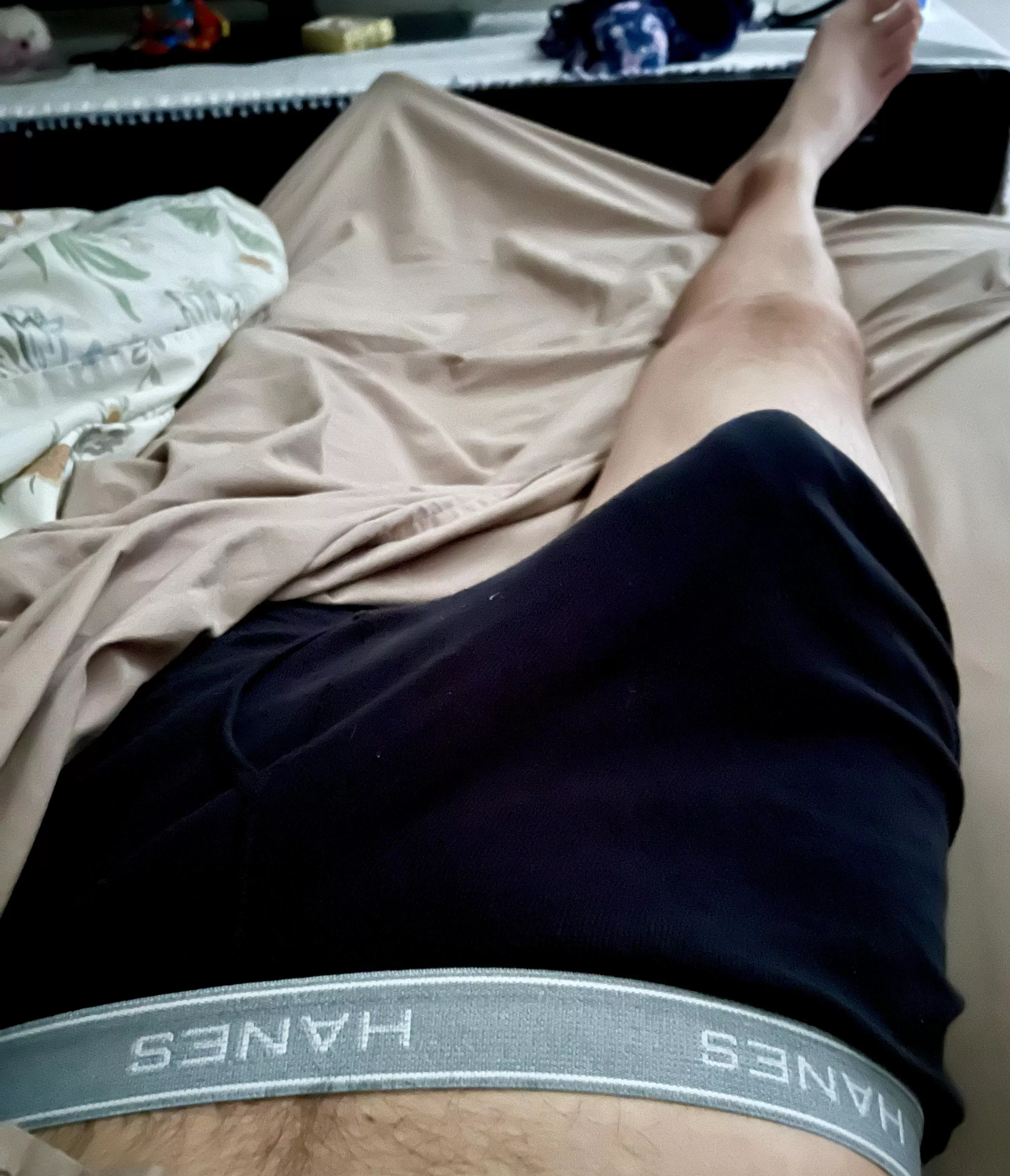 Would you let it out?