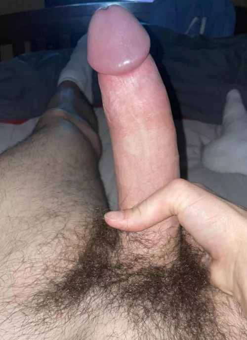 Would you suck my 20 yr old cock 