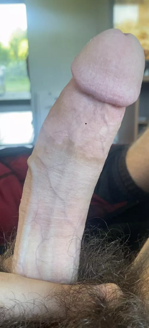 First word that cums to mind?