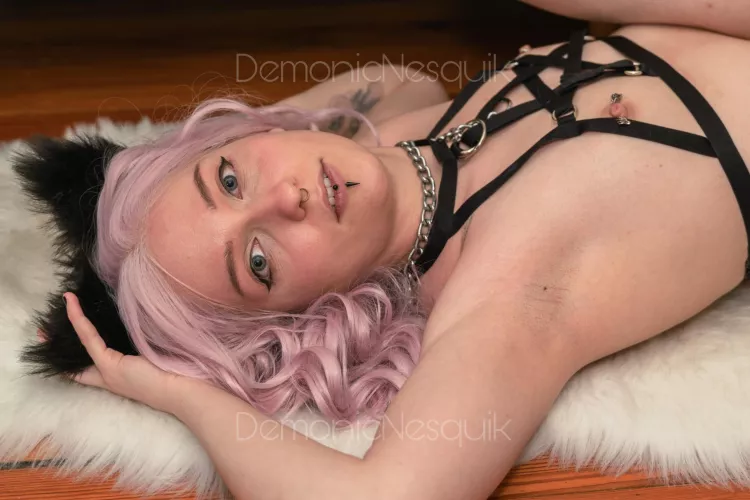 How can I serve you, master?