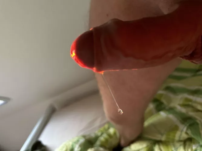 Little drip in the sunlight