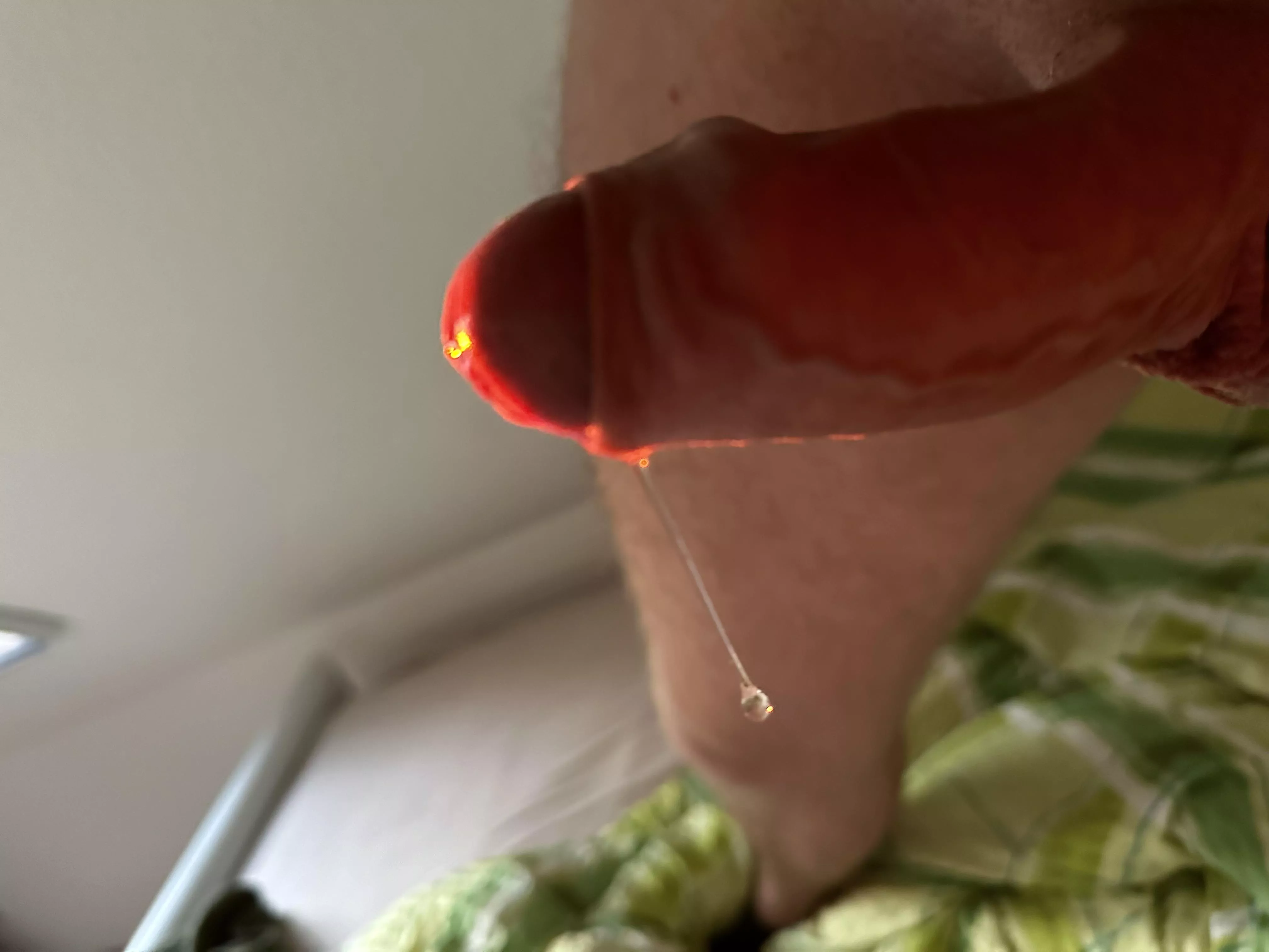 Little drip in the sunlight